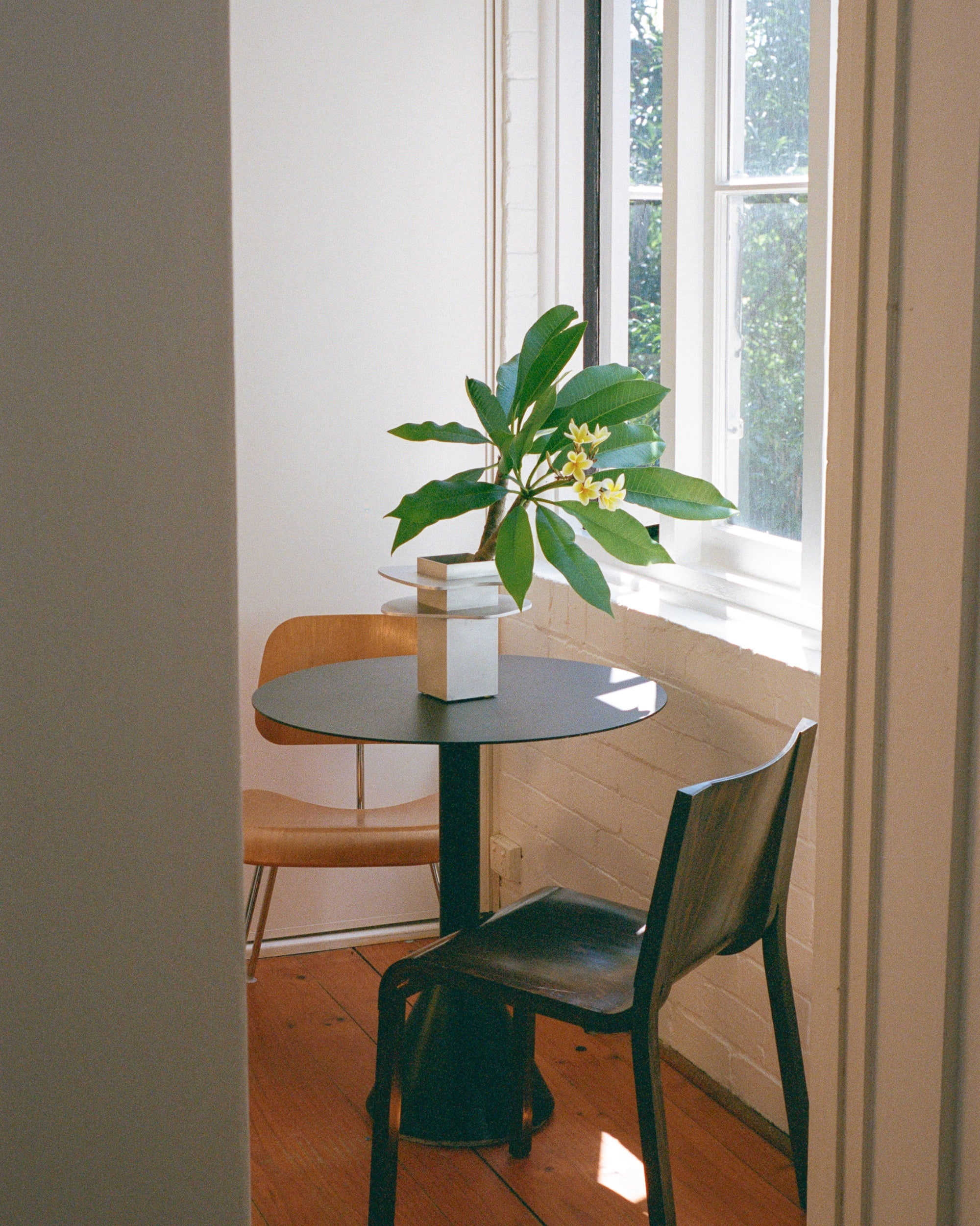 Vase by PARCTA holding tropical flowers on a round table with two chairs. Natural light shines through the window.