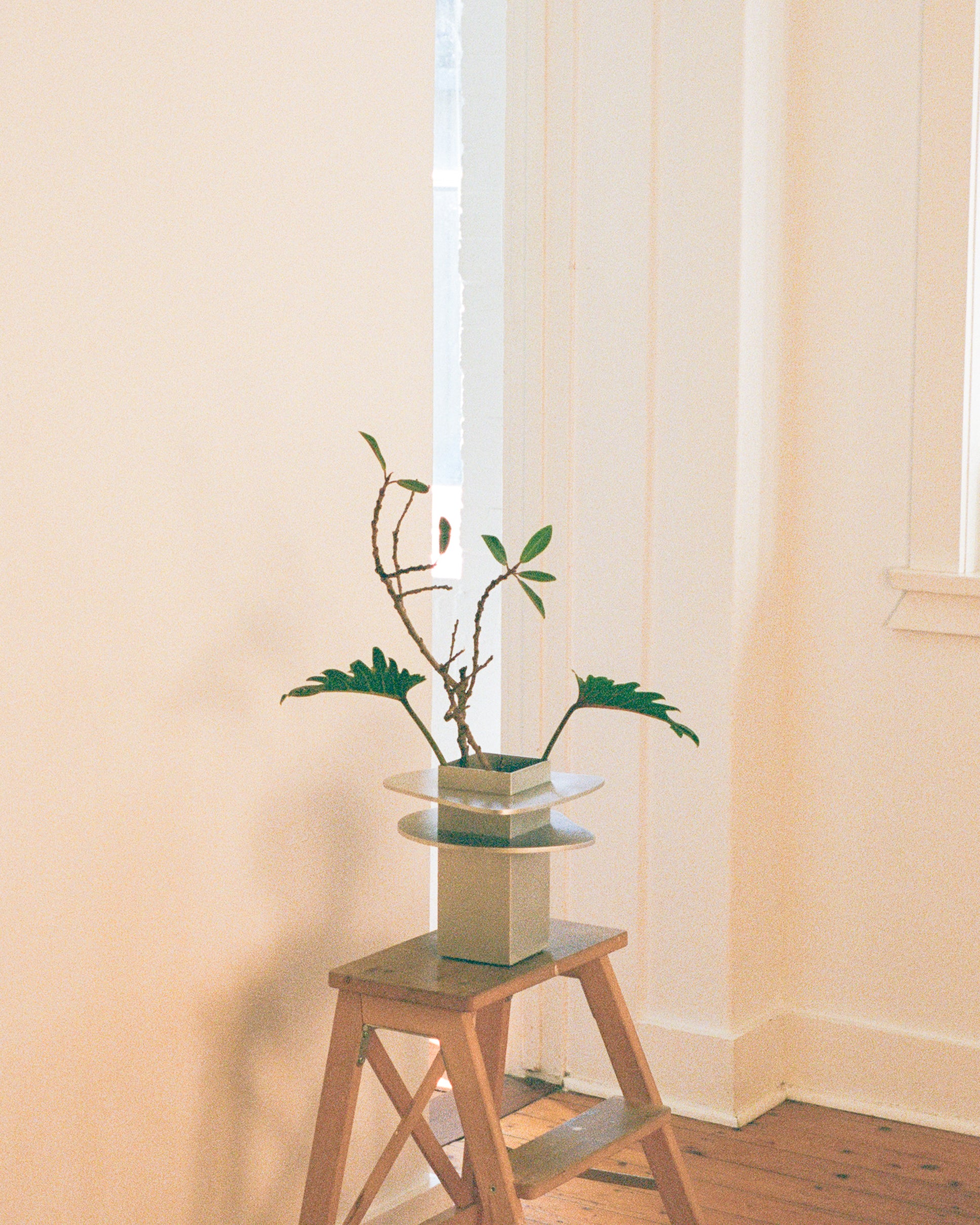 Vase by PARCTA sat on a wooden step.