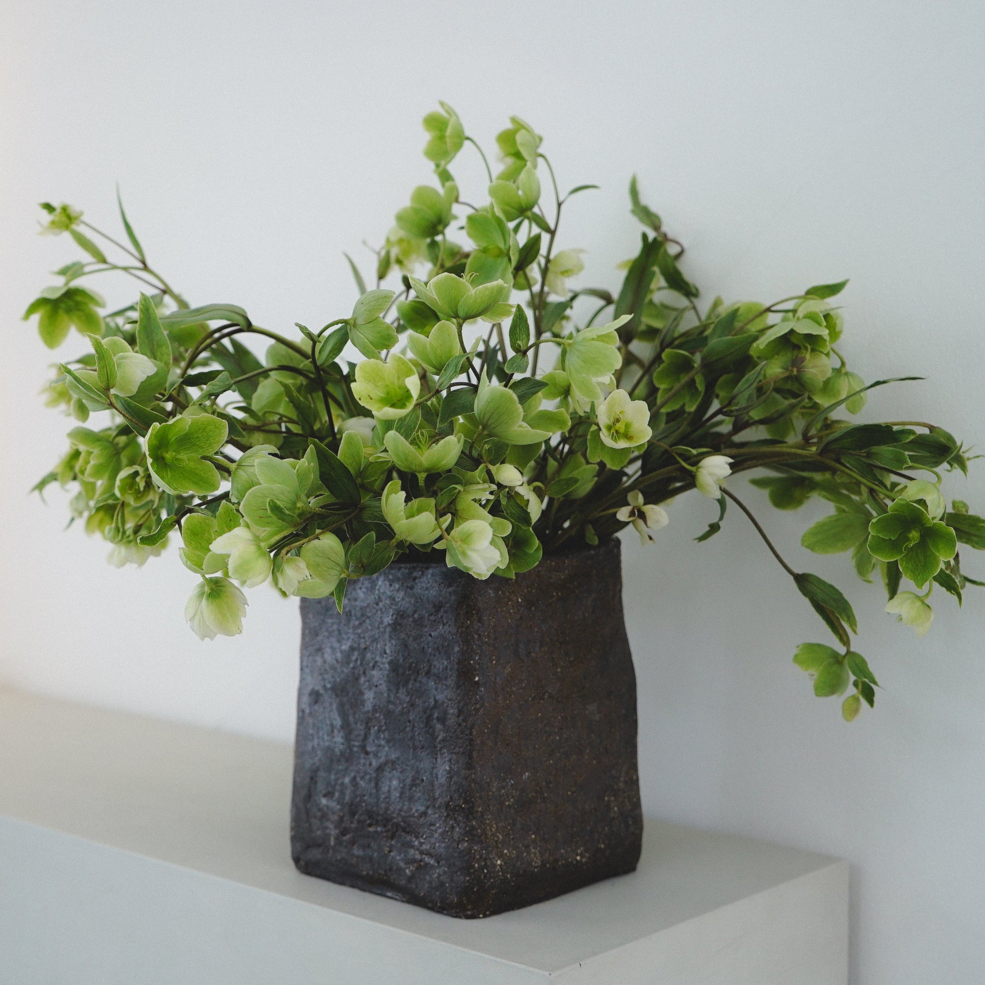Textured, charcoal cubed vase by klangnapha on a white plinth with a neutral background holding green flowers.
