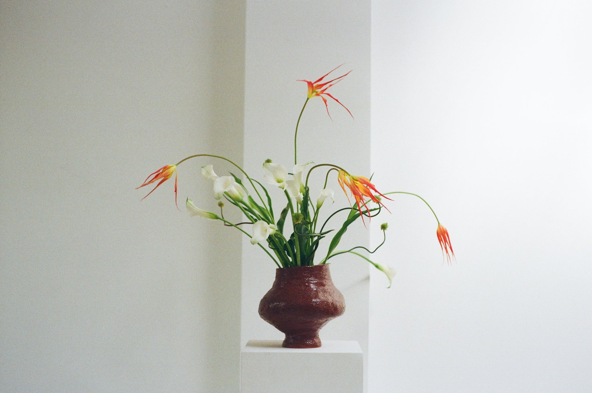 Rounded, brown ceramic vase by klangnapha with flowers on a white plinth with a neutral background.